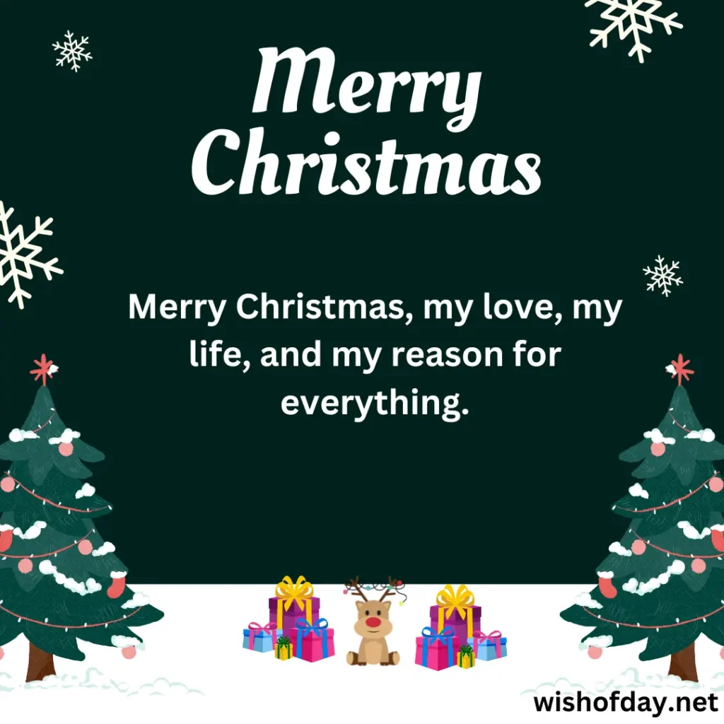 Merry Christmas to My Wonderful Wife