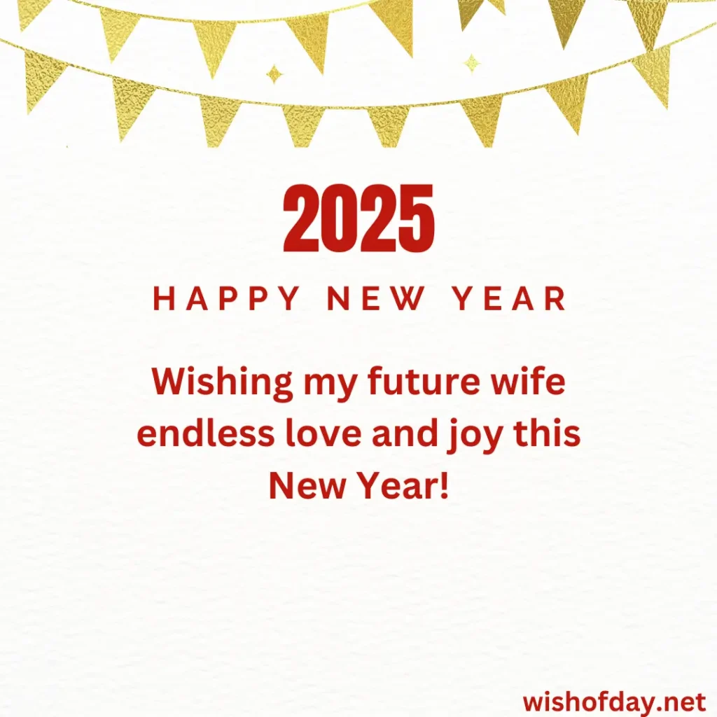 happy new year to future wife